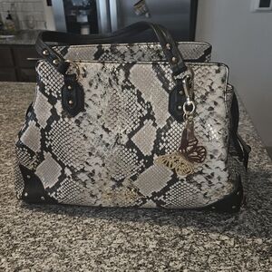 Snakeskin Purse